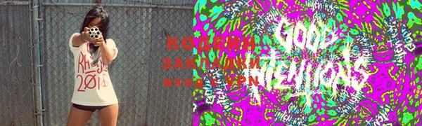 ГАЛЛЮЦИНОГЕННЫЕ ГРИБЫ Новозыбков