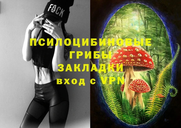 трава Новокубанск